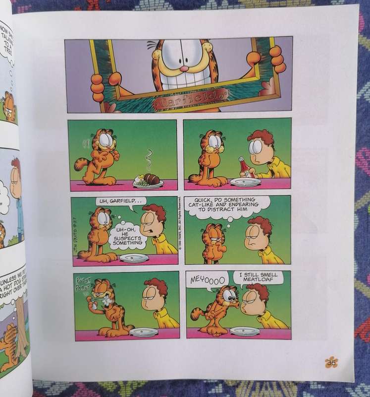 Garfield Feeds the Kitty by Jim Davis (His 35th Book)