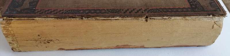 Myths and Legends of the Bantu by Alice Werner (First Edition)