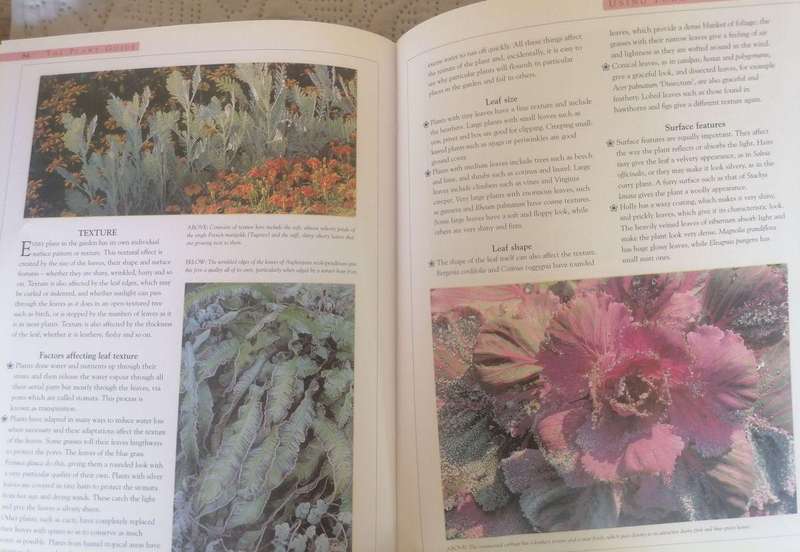 The Plant Guide (Your Garden)