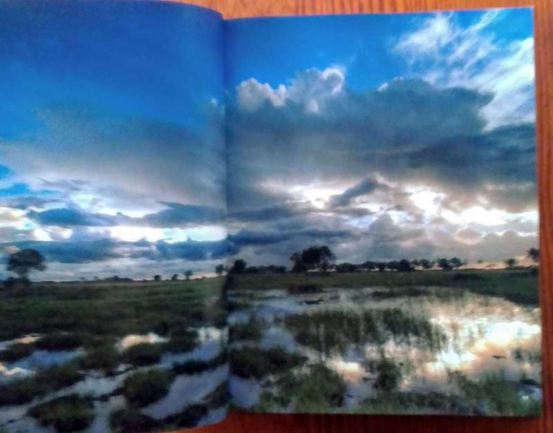 The Essential Africa by Michael Poliza