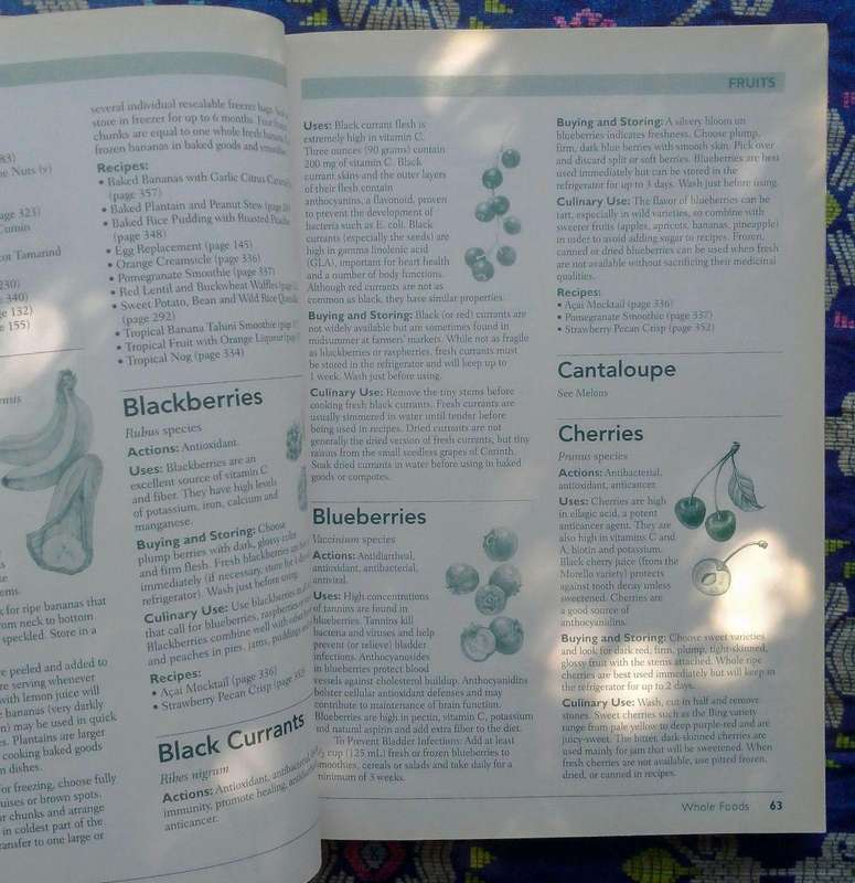 The Vegan Cook's Bible by Pat Crocker