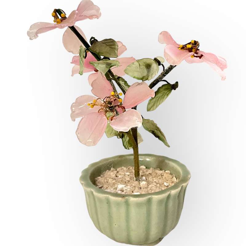 Oriental blossom tree in green ceramic pot - so pretty!