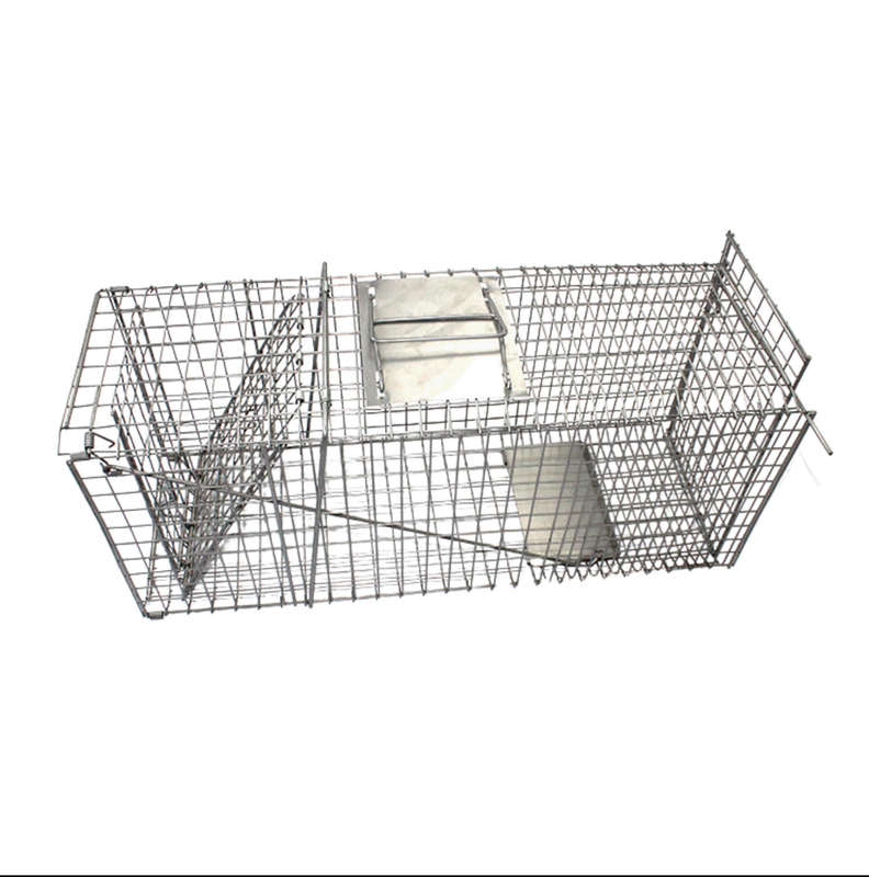 Investify Humane Foldable 66cm x 23.5 cm x 30cm Catch and Release Rodent Rat , Mouse and Animal trap