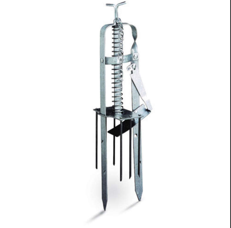 Investify Garden Mole Trap 330 X 105 X 100MM Garden Gnome  (Height: 33 cm)