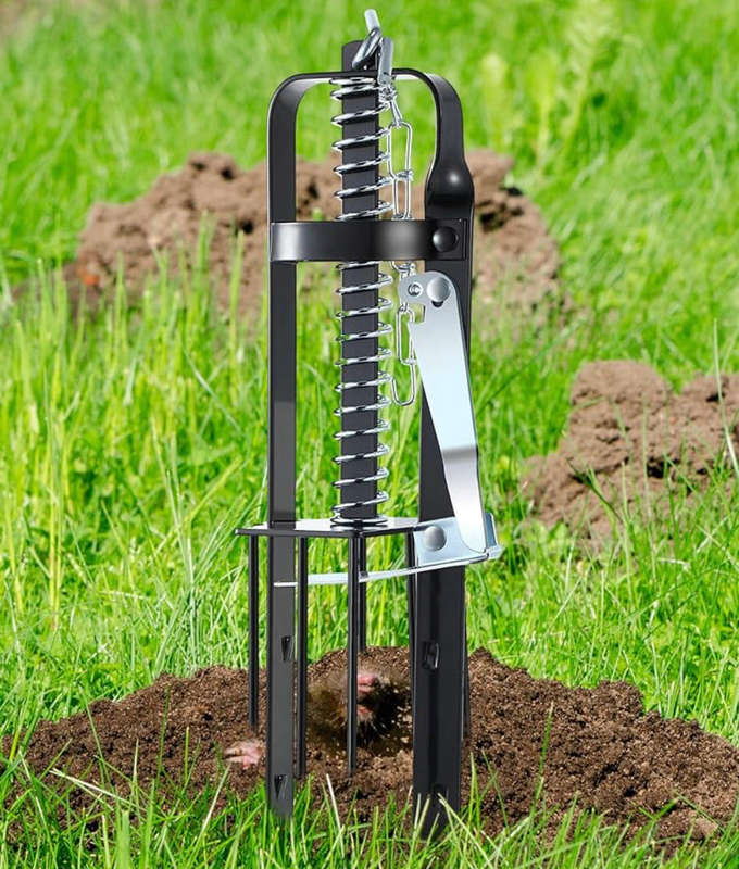 Investify Garden Mole Trap 330 X 105 X 100MM Garden Gnome  (Height: 33 cm)