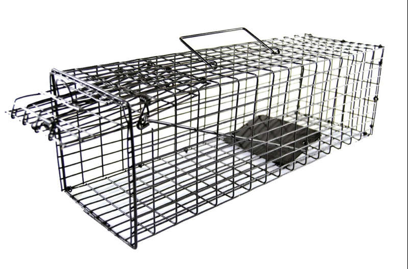 Investify Humane Rat and Mouse Trap Cage 40 cm x 12,5 cm , 12,5 cm .