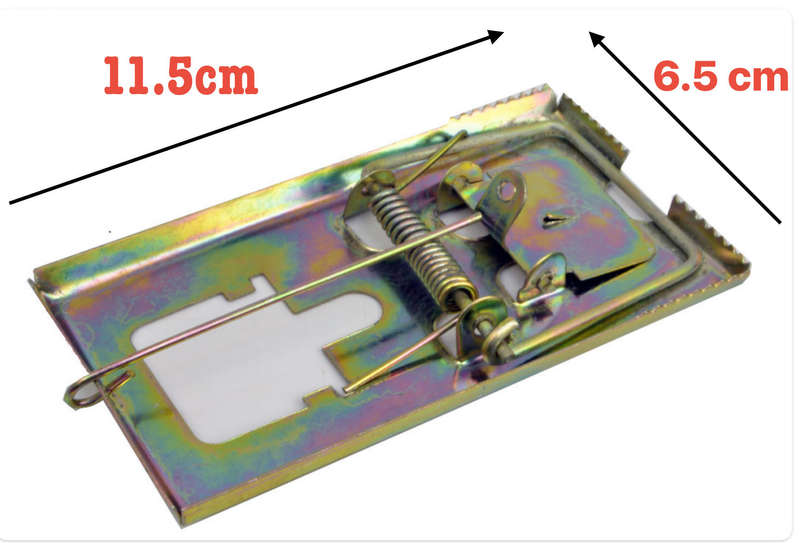trap mouse Investify Traditional Brass Mouse Trap Bulk Pack of 6