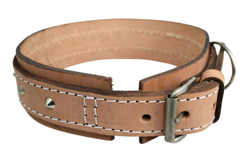 Investify Leather Bull Dog Collar Reinforced #30 50mm x 750mm