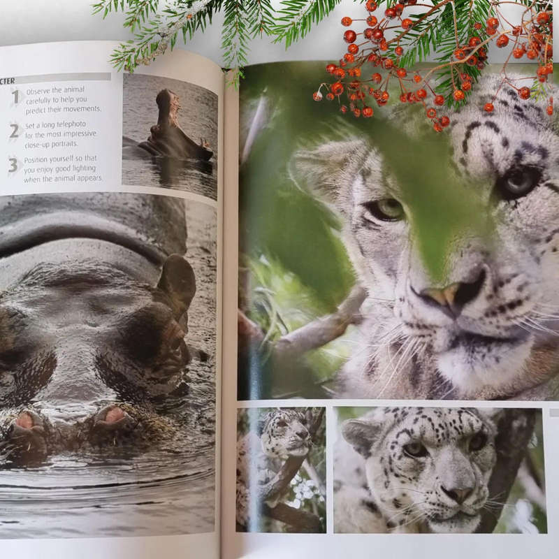 How to Photograph Absolutely Everything  by Tom Ang