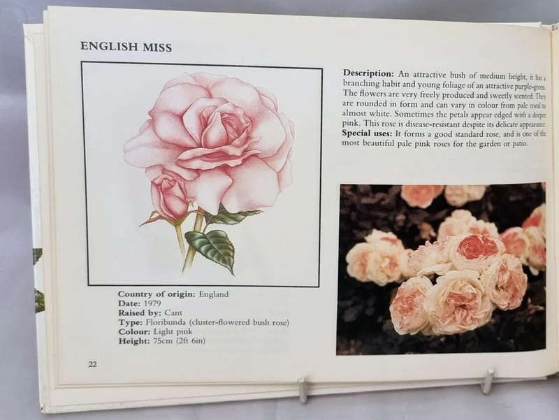 The Concise Illustrated Book of Roses Hardcover  by Beatrice Hamilton (Author)