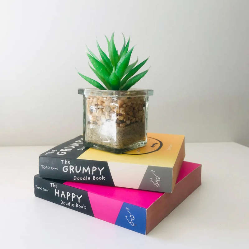 The Happy Doodle book and The Grumpy Doodle book (two items included in this post)
