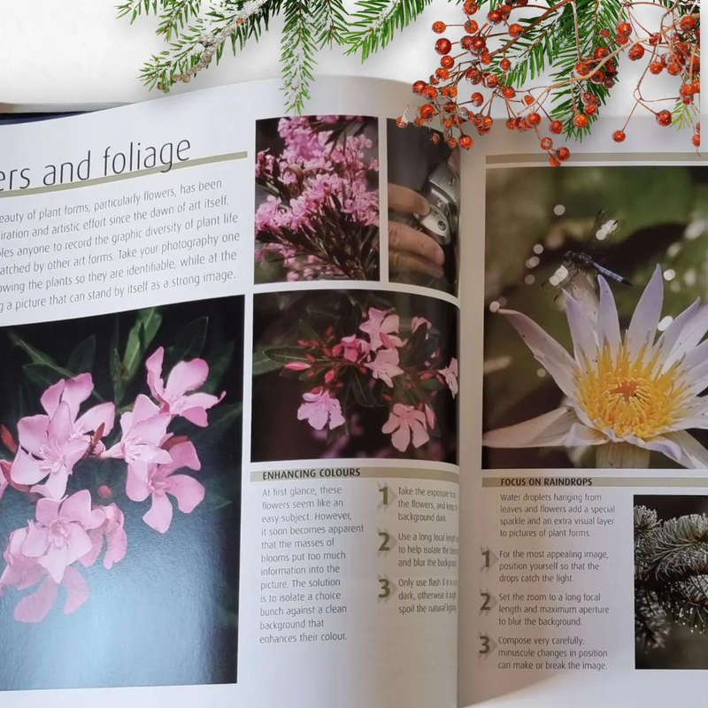 How to Photograph Absolutely Everything  by Tom Ang