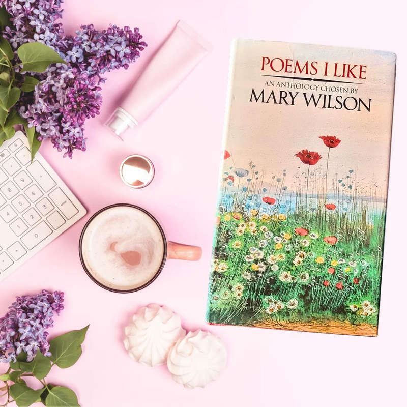 Poems I Like: An Anthology Mary Wilson
