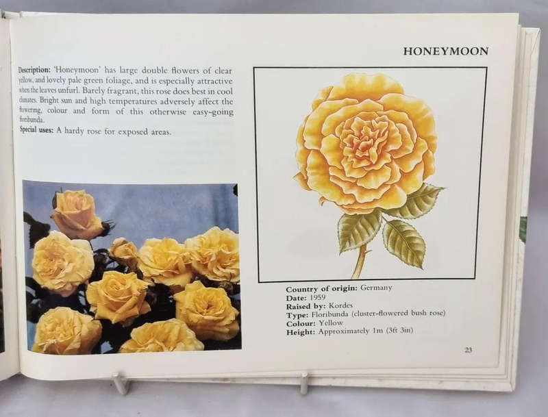 The Concise Illustrated Book of Roses Hardcover  by Beatrice Hamilton (Author)