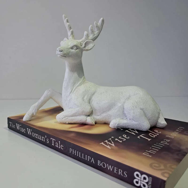 The Wise Woman's Tale Phillipa Bowers