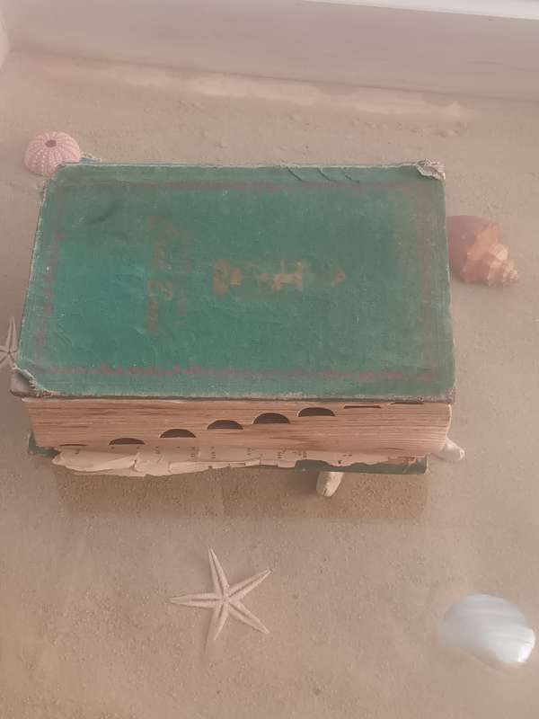 RARE FIND. The New Family Cook Book - Ruth Berolzheimer (1950)