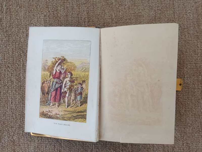 ANTIQUE Bible 1800's