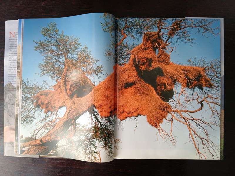 Namibia: A Visual Celebration - Jéan Du Plessis