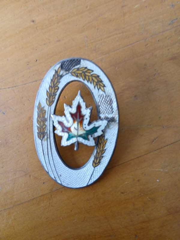 ANTIQUE Sterling Silver Enamel Maple Leaf Souvenir Brooch Canada