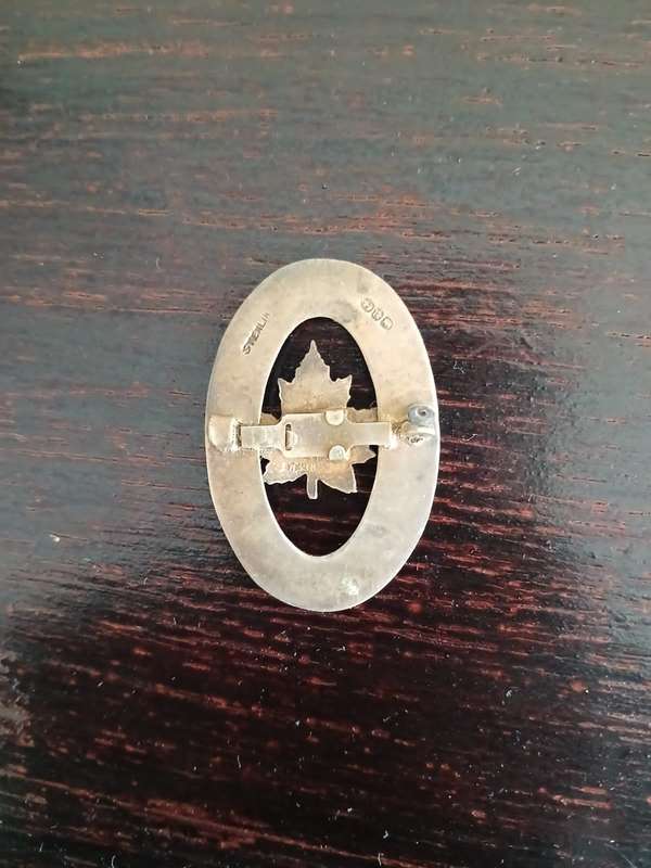 ANTIQUE Sterling Silver Enamel Maple Leaf Souvenir Brooch Canada