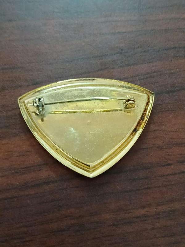 VINTAGE Paua Abalone Shell Brooch