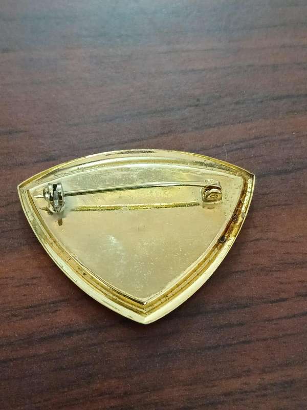 VINTAGE Paua Abalone Shell Brooch