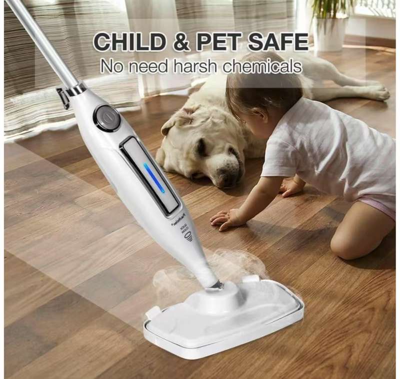 RAF STEAM MOP 10 in 1