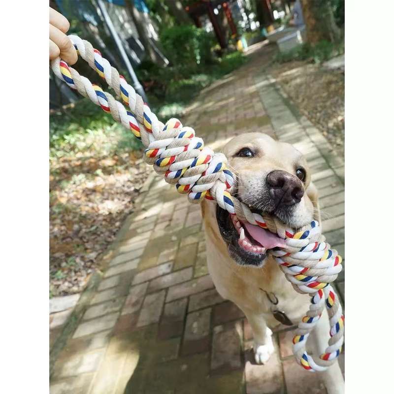 Dog toys, Dog accessories, Dog toys rope