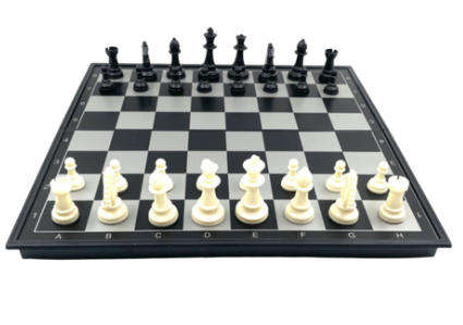 Chess - Magnetic Travel Chess Set - 26cm x 26cm