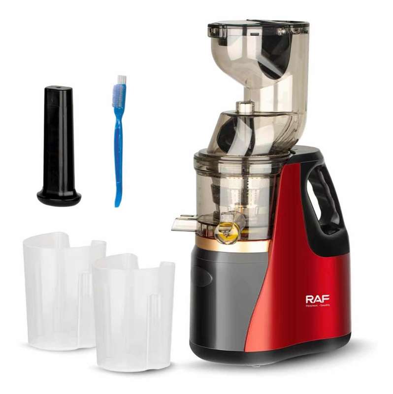 JUICER R2831