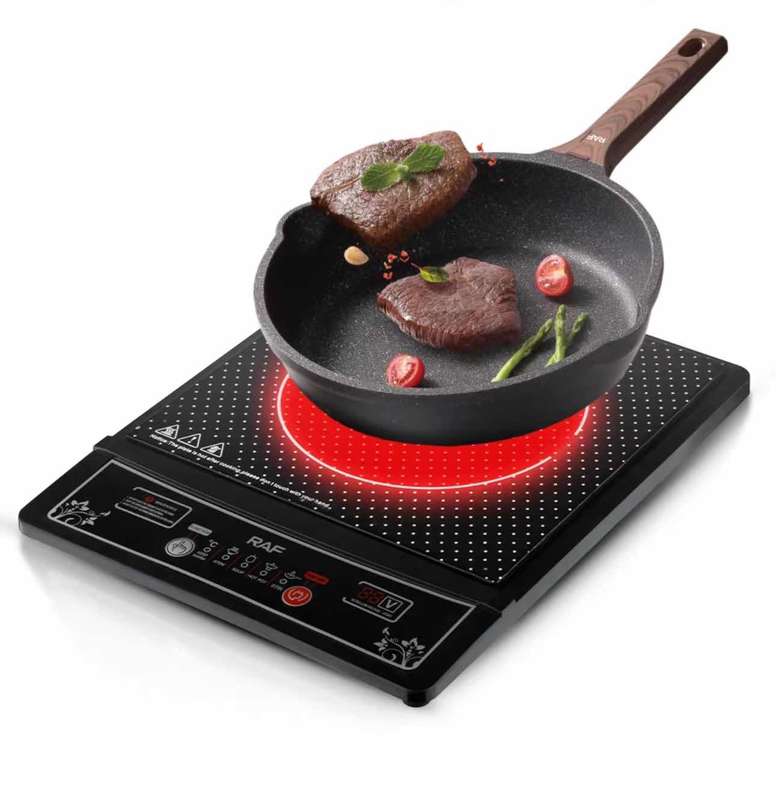 INDUCTION COOKER R8015