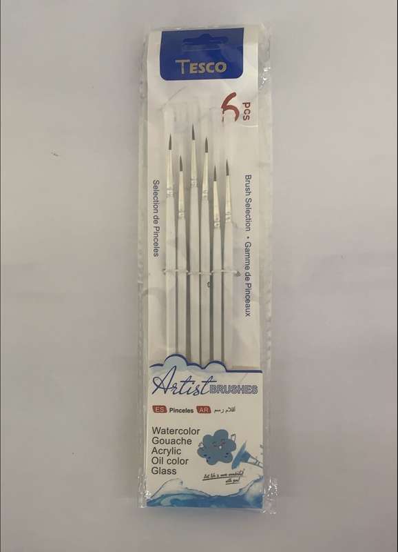 Paint Brushes - Art & Craft  - (6 pcs one pack)
