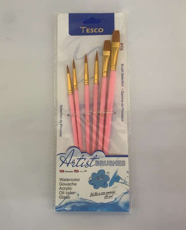 Paint Brushes - Art & Craft  - (6 pcs one pack)