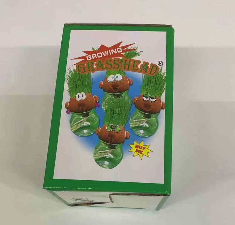 Growing Your Own Grass Head