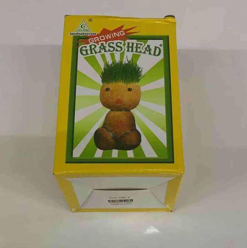 Growing Your Own Grass Head