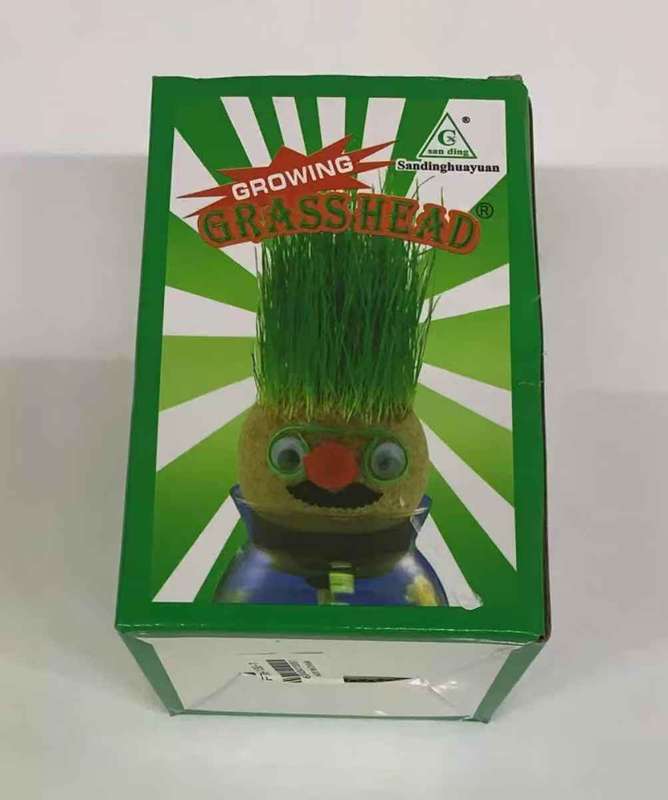 Growing Your Own Grass Head