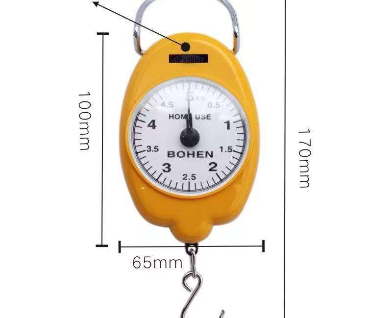 Portable scale