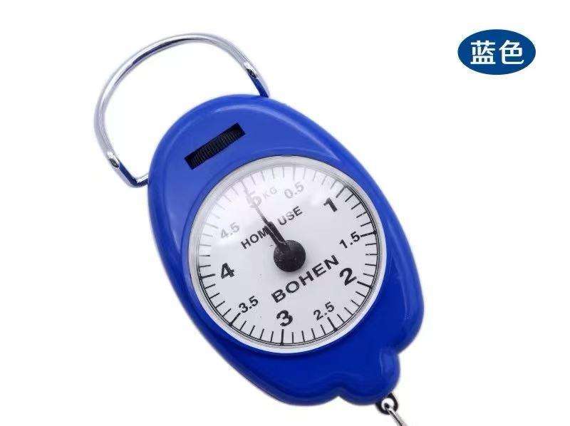 Portable scale