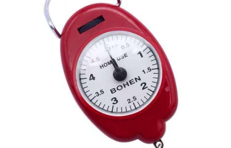 Portable scale