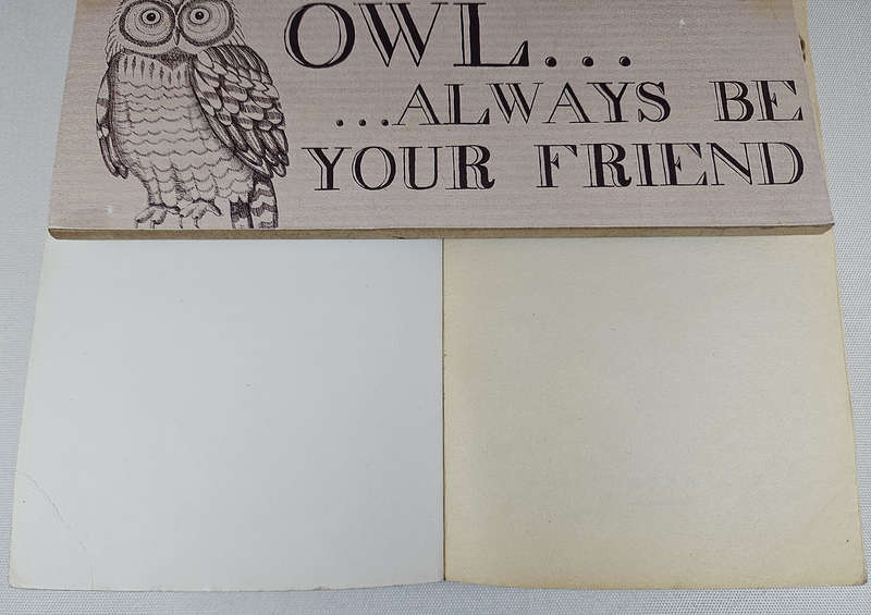 BLIND DATE WITH A BOOK - Fiction/Romance/Chick Lit