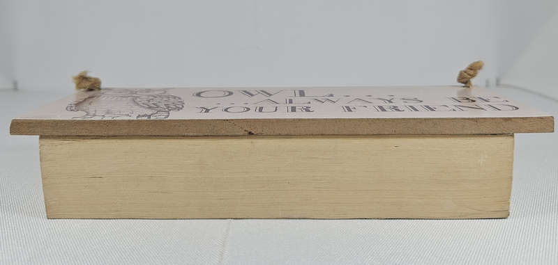 BLIND DATE WITH A BOOK - Fiction/Romance/Chick Lit
