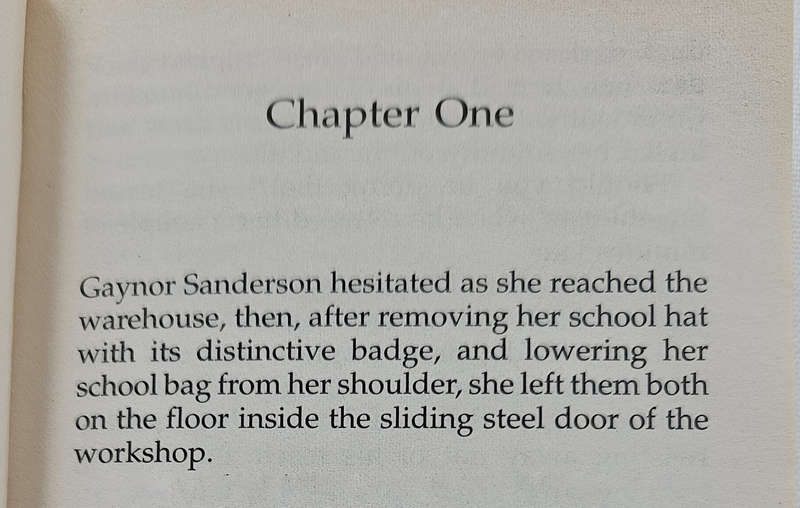 BLIND DATE WITH A BOOK - Historical Fiction