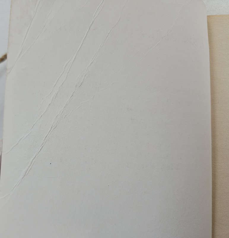 BLIND DATE WITH A BOOK - Historical Fiction