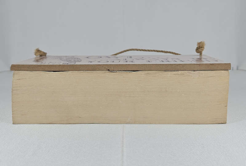 BLIND DATE WITH A BOOK - Fiction/Romance/Chick Lit