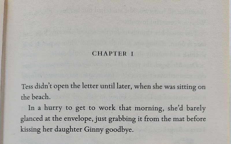 BLIND DATE WITH A BOOK - Fiction/Romance/Chick Lit