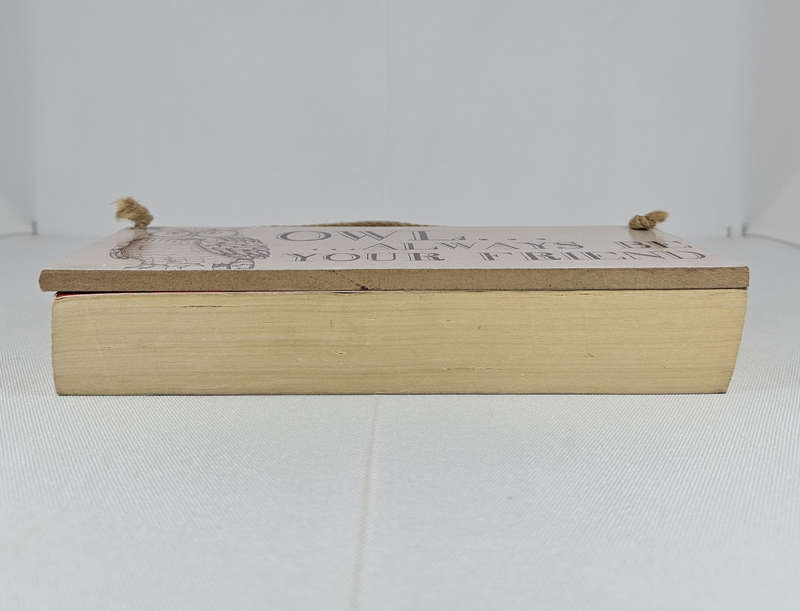 BLIND DATE WITH A BOOK - Fiction/Romance/Fantasy