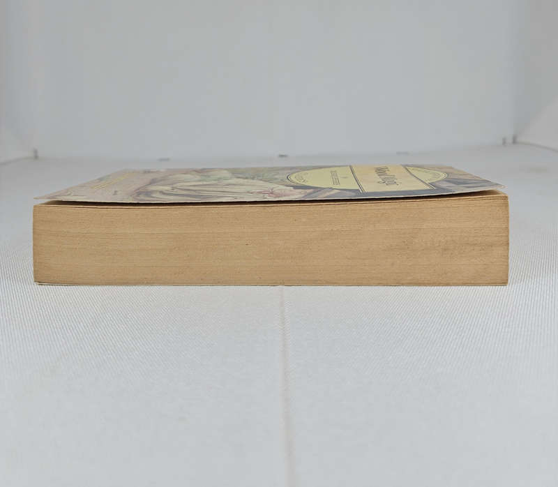 Wood Magic (Wordsworth Classics) by Richard Jeffries - Paperback