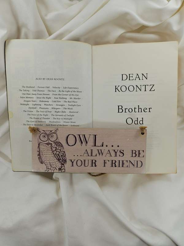 Brother Odd by Dean Koontz - Paperback