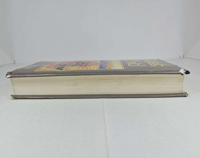 Fiela's Child by Dalene Matthee - Hardback