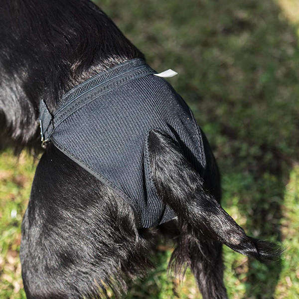 Mikki Hygiene Pants for Dogs - Size Large